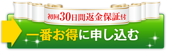 一番お得に申し込む